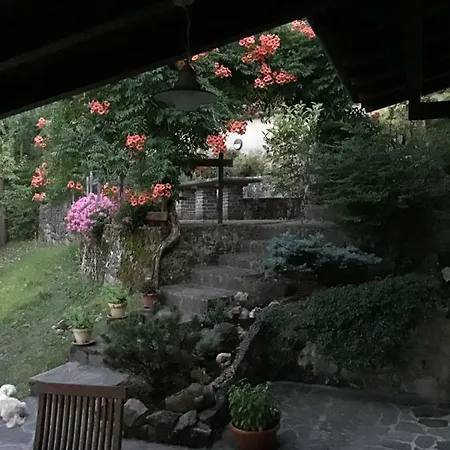 Bellaria ゲストハウス *